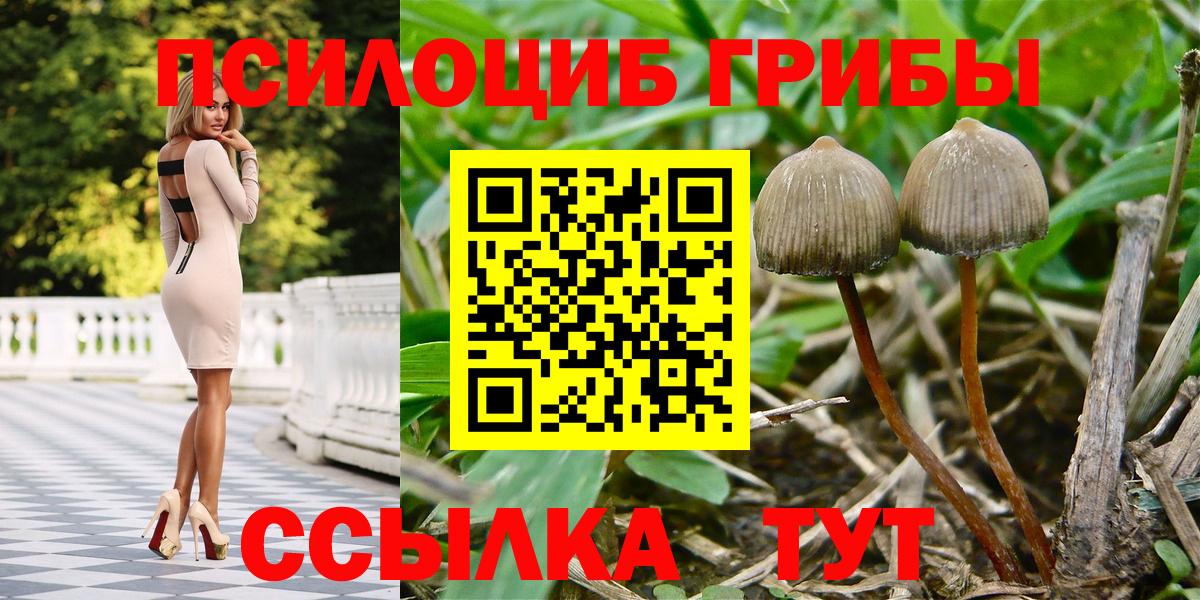 Ставрополь  Галлюциногенные грибы Cubensis  Псилоцибиновые грибы ЛСД  Вход с VPN 