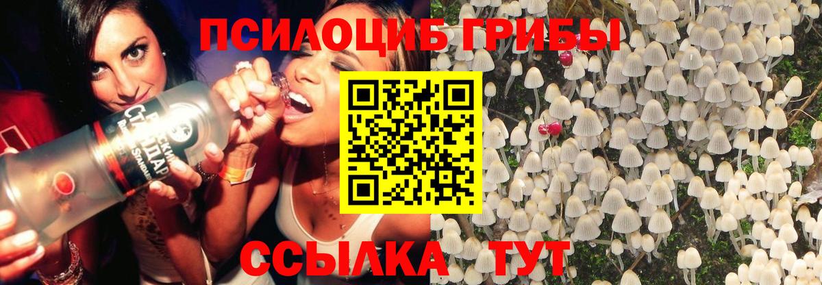 Псилоцибиновые грибы Magic Shrooms Ставрополь